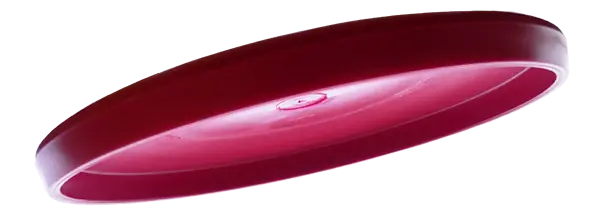 Disc Profile